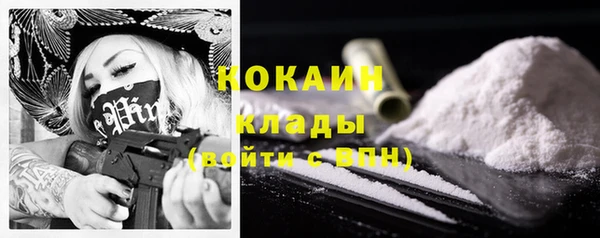 стаф Вязьма