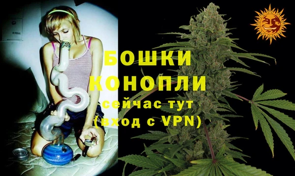 стаф Вязьма