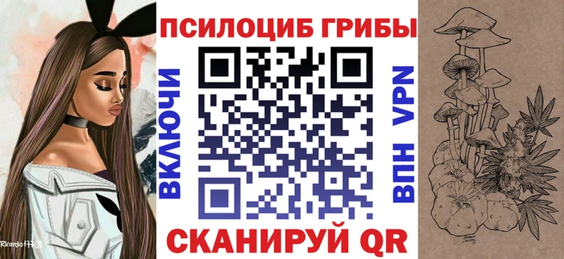 Псилоцибиновые грибы прущие грибы  даркнет сайт  Змеиногорск 